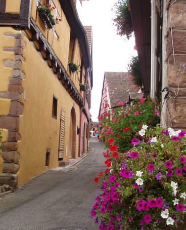 Zellenberg - un autre joli village d'alsace